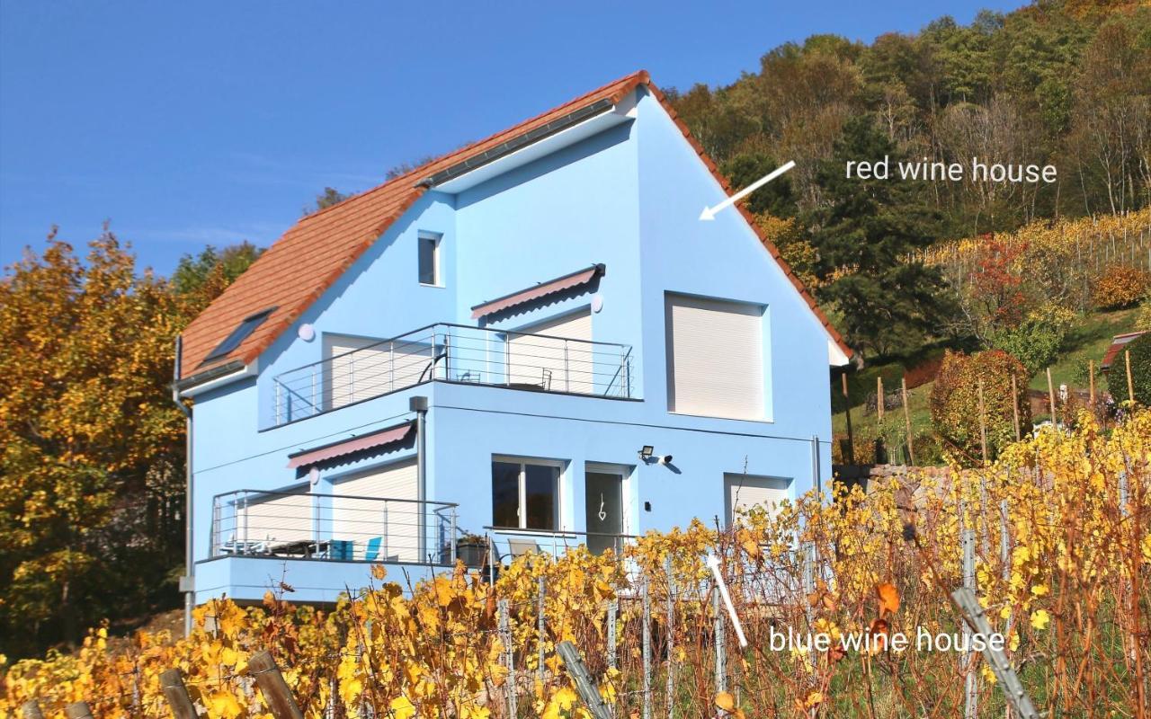 Appartamento Janea Big Blue House Reichsfeld Esterno foto