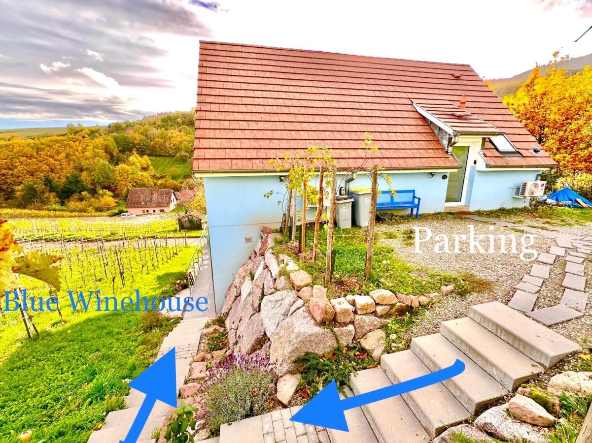 Appartamento Janea Big Blue House Reichsfeld Esterno foto
