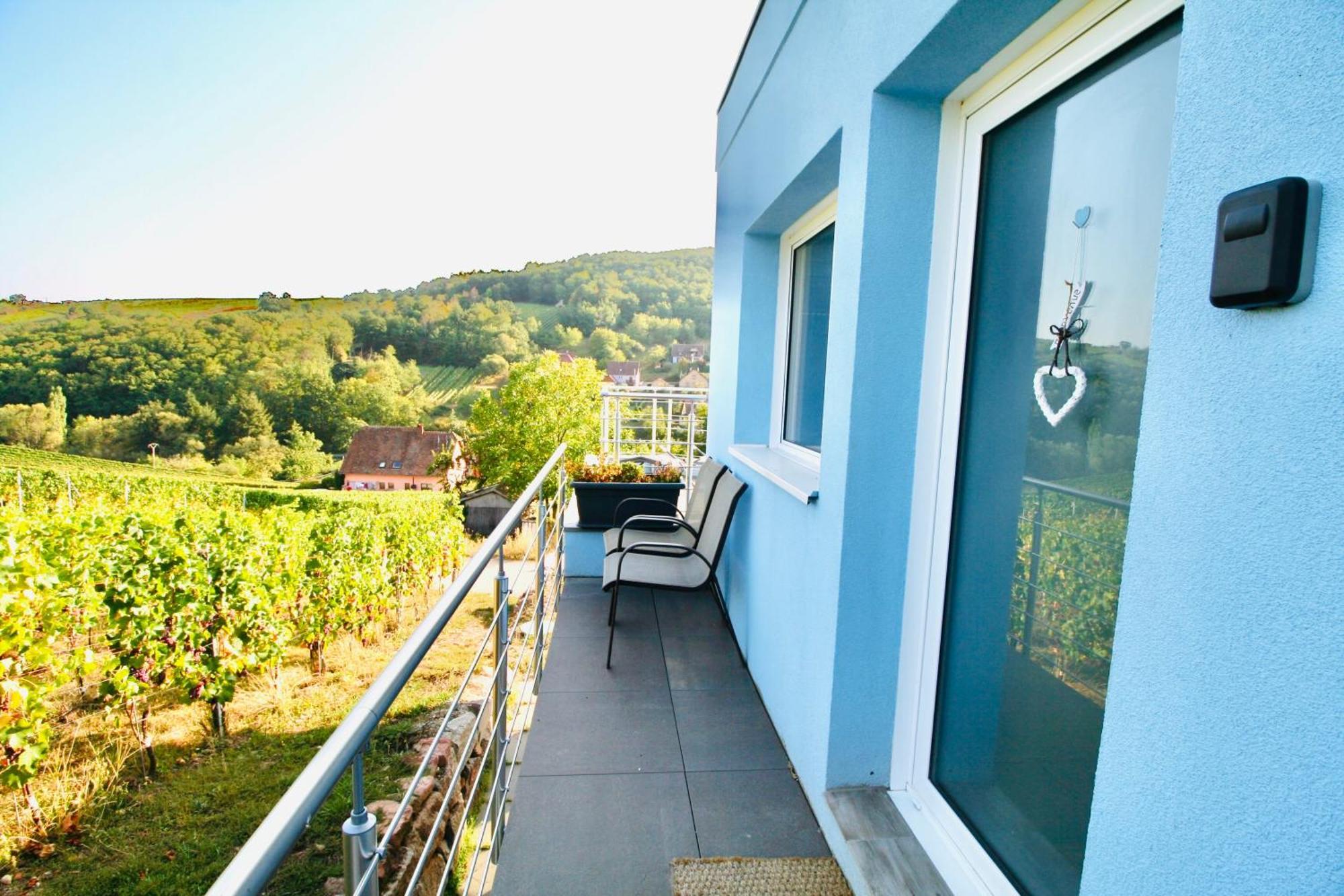 Appartamento Janea Big Blue House Reichsfeld Esterno foto